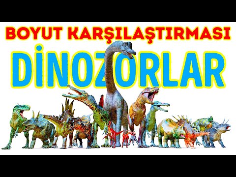 En Büyük ve En Küçük Boyutlu Dinozorların Karşılaştırması