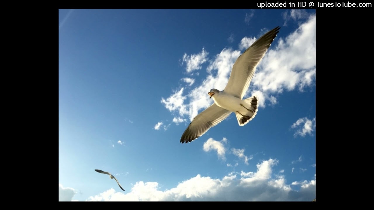 風 ／ MANISH - YouTube