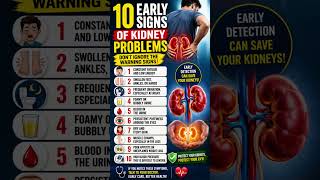 10 Early Signs of Kidney Problems You Should Never Ignore