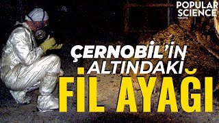 Çernobilin Altındaki Fil Ayağı Popular Science Türkiye