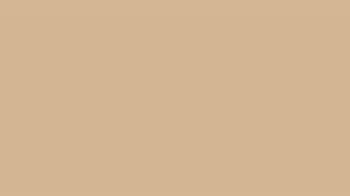HTML/CSS Colors: Tan - #D3B695 rgb(211, 182, 149)