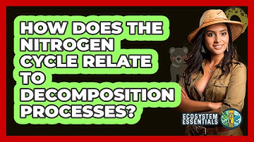 How Does The Nitrogen Cycle Relate To Decomposition Processes? - Ecosystem Essentials