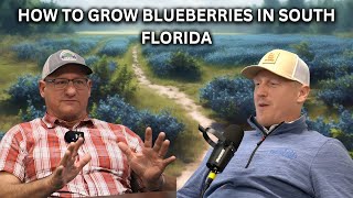 The Largest Blueberry Farmer in South Florida| C&B Farms