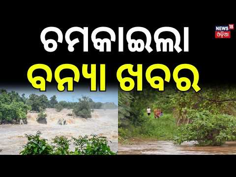 ଚମକାଇଲା ବନ୍ୟା ଖବର! Kalahandi Flood | Women Farmers Trapped in Flood | ODRAF & Fire Team Rescue LIVE