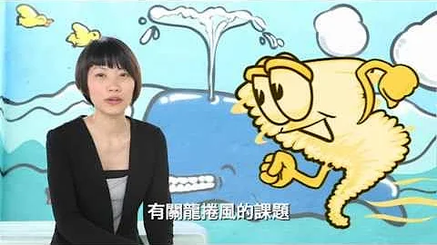 80后幼稚园校长：工作有意义，好过百万年薪？ - 天天要闻