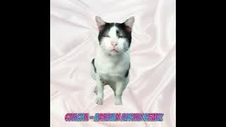 CHACHA - ARABIAN ADRIAN REMIX