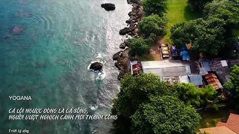 Cá lội ngược dòng là cá sống, người vượt nghịch cảnh mới thành công