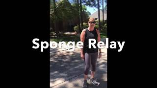 Sponge Relay