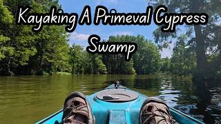 Kayaking A Primeval Cypress Swamp ~ Trap Pond State Park, DE