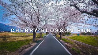 Relaxing POV Run in Japan | Sakura Tunnel & Spring Sounds 🌸
