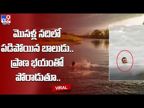 Viral: మొసళ్ల నదిలో పడిపోయిన బాలుడు.. ప్రాణ భయంతో పోరాడుతూ..@TV9 Telugu Digital