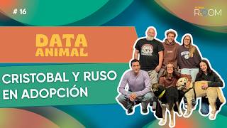 Data Animal: Martes a las 10:30