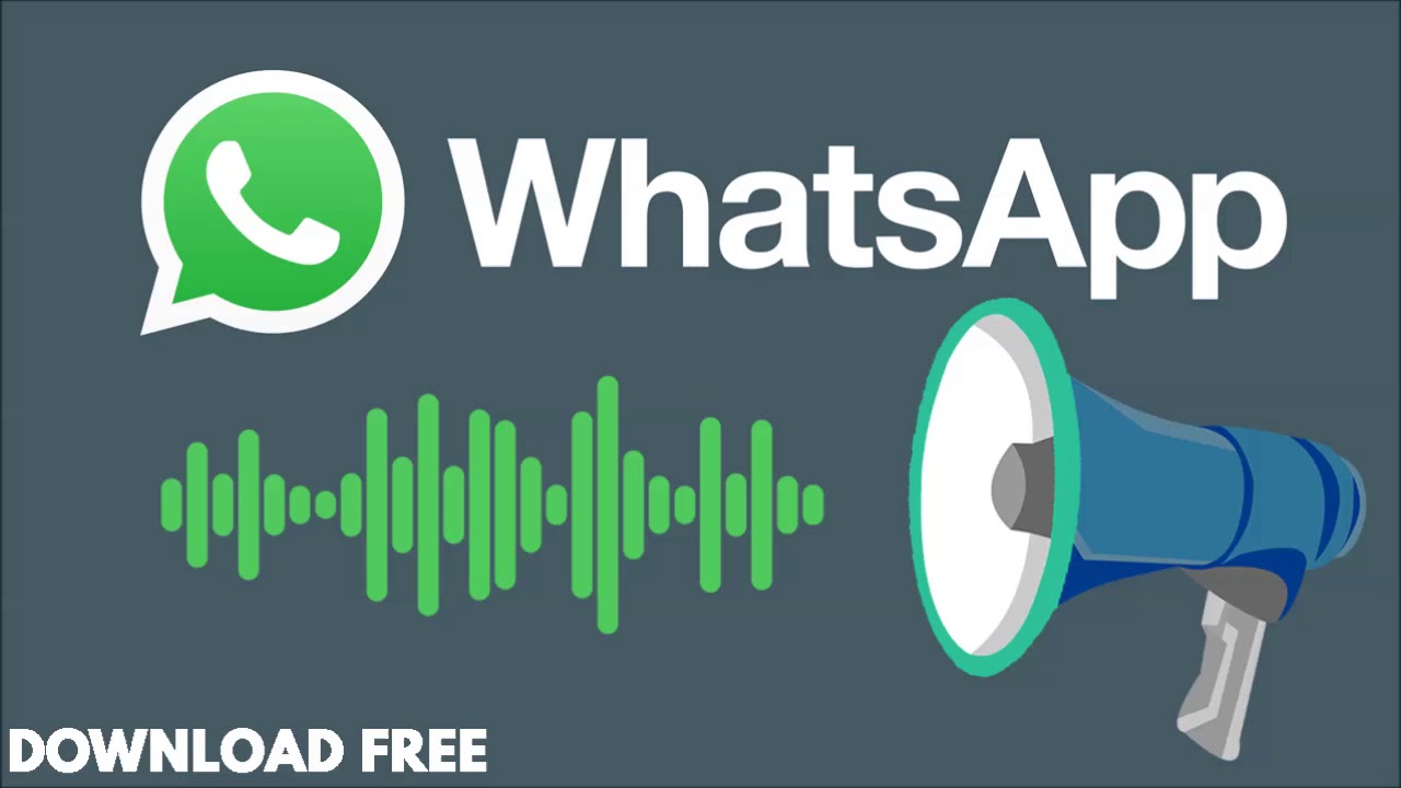 Whatsapp Sound Whistle donwload 