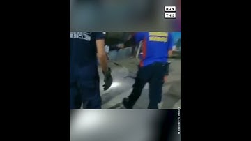 13-Foot Python Found in Car Hood #Shorts