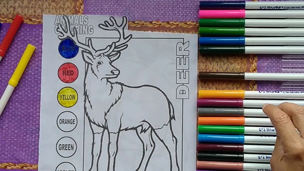 How To Color Deer Learn Colors Colors For Kids At Home Part 11 how-to-color-deer-learn-colors-colors-for-kids-at-home-part-11