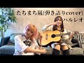 たちまち嵐/ハルレオ(弾き語りcover)-≫ぺぴぱぱぱの戦い≪