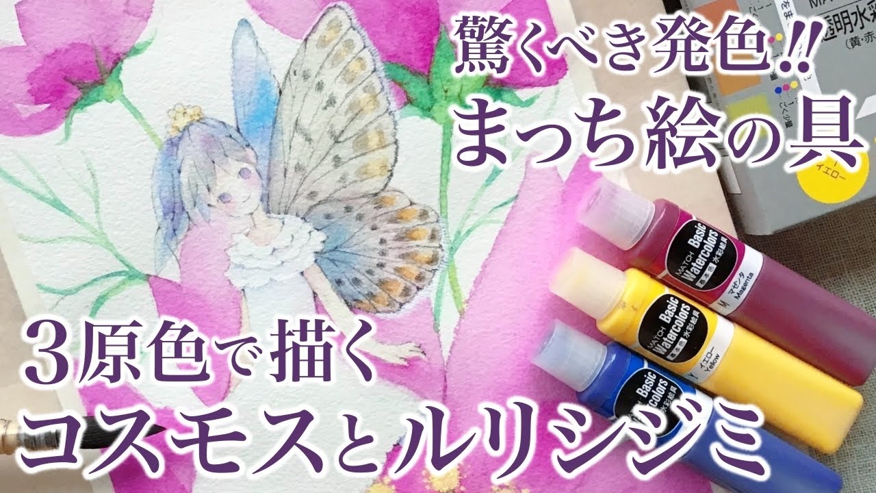 【画材紹介】まっち透明水彩絵具 / 3原色セットで描く / コスモスとルリシジミ / Review & How to use MATCH Watercolors / Holly blue