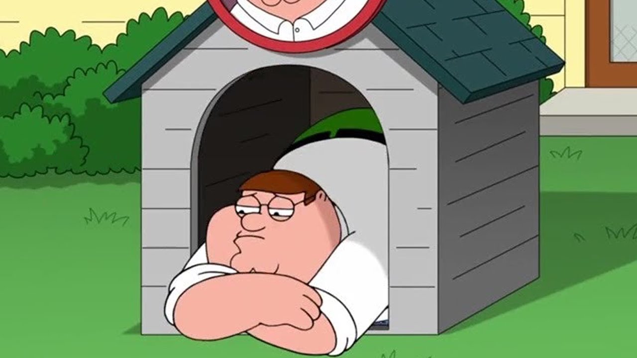 Doghouse Meme Compilation YouTube