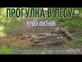 🔴Прогулка в лесу/Разходка в гората/Walk in the forest   30.05.2022  #премьера #лесопарк #прогулка