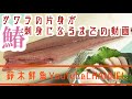 鰆 サワラの捌き方〜サワラの片身が刺身になるまでの動画〜