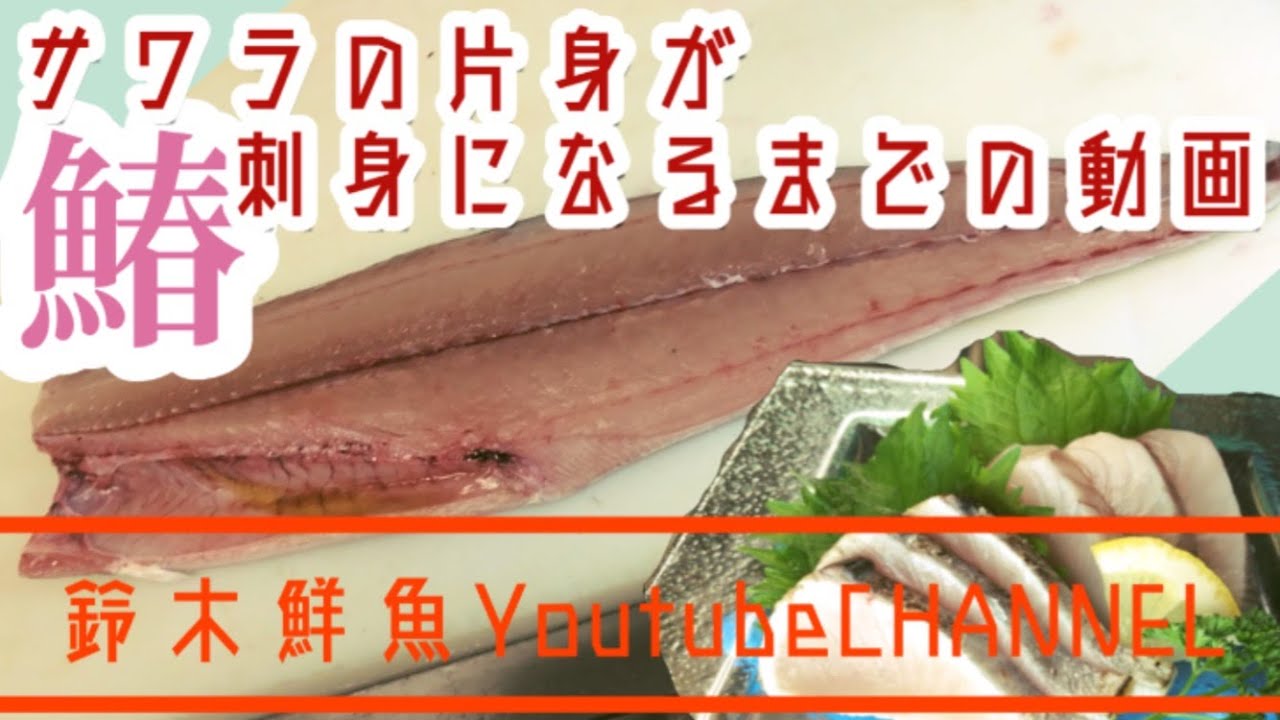 鰆 サワラの捌き方 サワラの片身が刺身になるまでの動画 Youtube