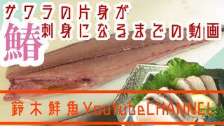 鰆 サワラの捌き方〜サワラの片身が刺身になるまでの動画〜