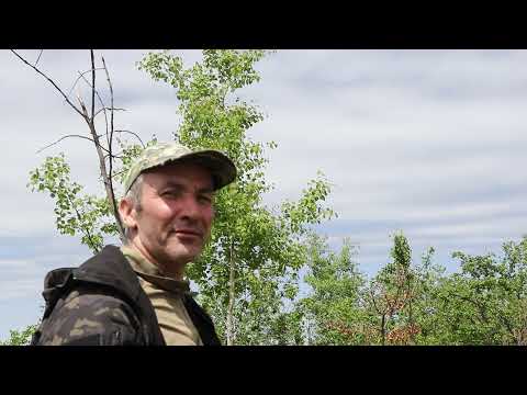 ВИКРИ . ФРАГМЕНТ