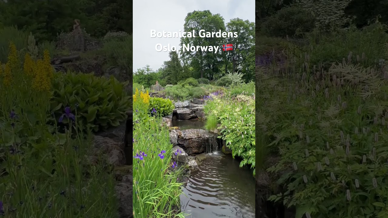 Botanical Gardens, Oslo Norway 🇳🇴