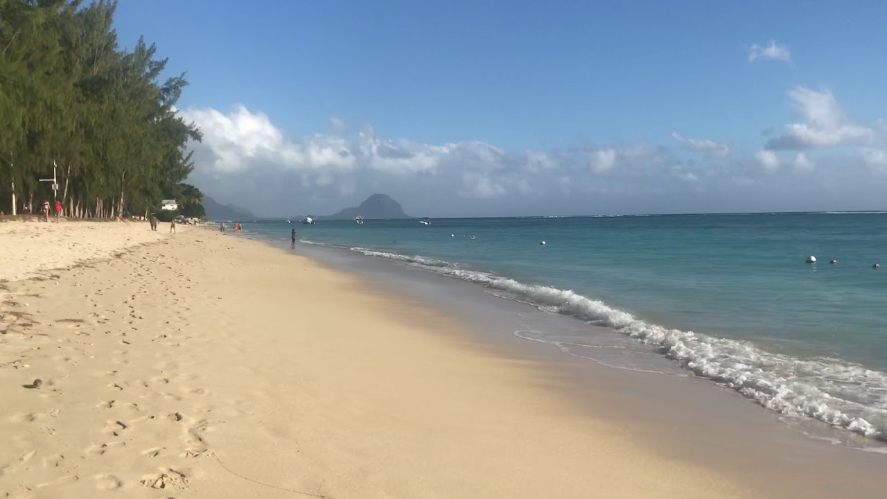 Windy day at the beach!