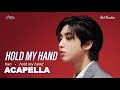HAN Of Stray Kids Hold My Hand M V Acapella