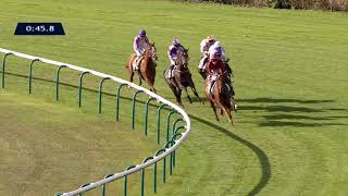 Vidéo de la course PMU PRIX DE LA RECONVERSION D'UN CHEVAL DE COURSES EN CHEVAL DE JUMPING