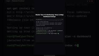 Creating a Pro C2 Terminal Dashboard with Tmux and Btop