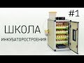 ШКОЛА ИНКУБАТОРОСТРОЕНИЯ #1 [ Основы инкубации яиц - в чем секрет хорошего вывода птенцов ]