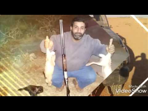 مقناص هاوي المقناص