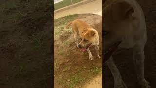 The 32Nd Annual Happiness Happens Here Telethon