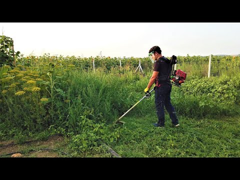 Video: Benzinli biçme makinesi - bahçede harika bir yardımcı