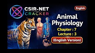 Animal Physiology | Chapter 7 | Lecture 3 (English) | 📚 CSIR-NET Cracker #csirnet #csirnet #csirnet