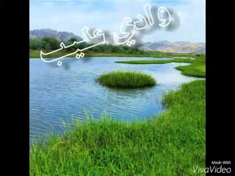 وادي عليب