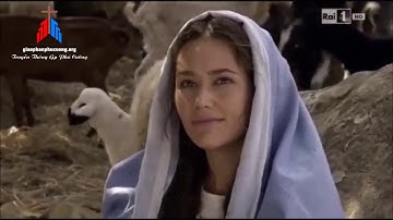 ♪♪♪  TUYỆT ĐỈNH THÁNH CA - TÂM TÌNH XIN VÂNG - LM. FX. PHẠM QUỐC VIỆT