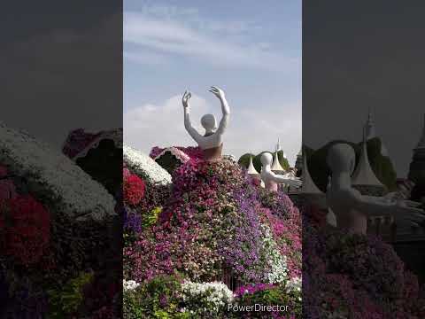 Miracle Garden – Dubai 🌸 (World’s Largest Flower garden) #miraclegarden #dubai
