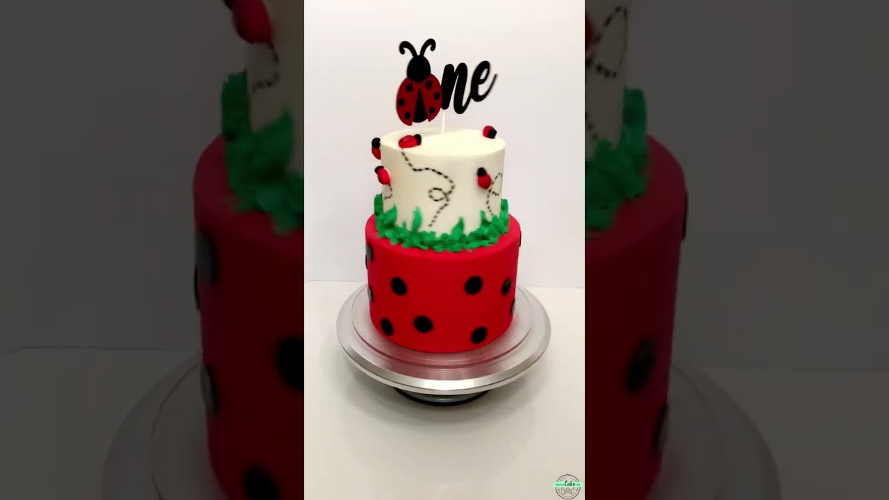 LadyBug  Miraculous ladybug party, Lady bug birthday cake