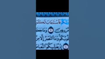 #سورة_الكهف #اسلام_صبحي #السديس #ماهر_المعيقلي #quran #اكسبلور #yasseraldossary#دويتو #elmulquranعلم