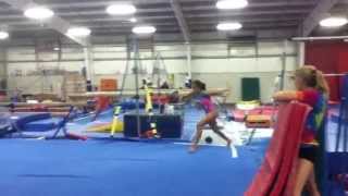 Double Pike FX 3 20140822