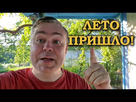 Launch of the mini pond and review of the dacha. Summer 2025.