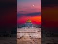 ١٥ مايو ٢٠٢٥ ١٥ مايو ٢٠٢٥