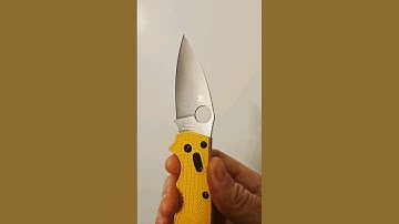 Manix 2 Salt MagnaCut SLICE TEST! #spyderco