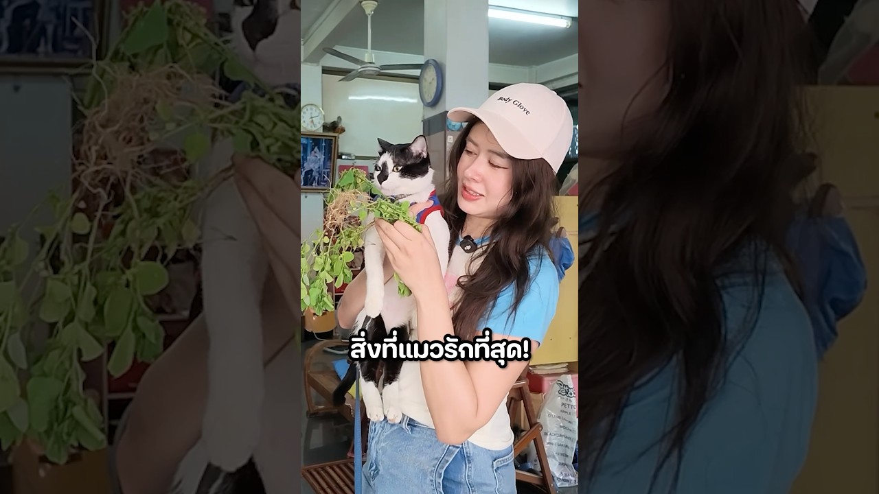 อาการมันเป็นยังไงนะ? #มิ้นท์นวินดา #ปักหมุดชาแนล #เขาสก #ภาคใต้ #แมว