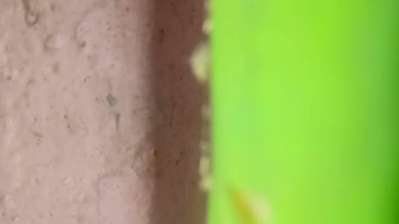 Ekongo plateau Baara o nga 