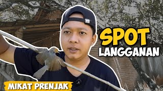 NGGAK SAMPAI DUA MENIT MIKAT PRENJAK LANGSUNG POINT 