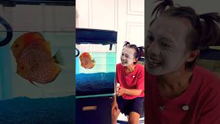 Download Lagu Ikan Bego Ga Pernah Tidur MP3